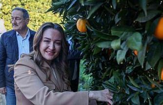 Başkan Vekili Özdemir: "Finike’nin ihtiyaçları doğrultusunda çalışmalarımızı yapıyoruz"