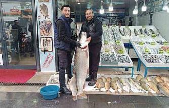 Batman’da dev turna balığı ilgi odağı oldu