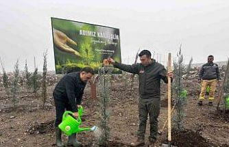 Baybatur’dan yanan orman alanlarına bin fidan