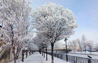 Bayburt’un Arpalı Beldesi güne kar yağışıyla uyandı