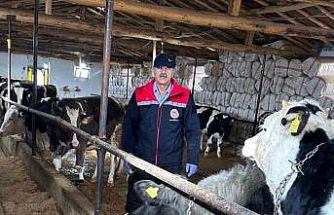 Beyşehir’de hayvancılık faaliyetleri yakın takipte