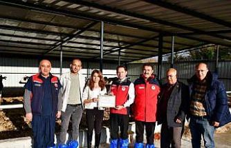 Biga’da kaliteli hayvansal üretim yapan üreticiye Ari İşletme Belgesi