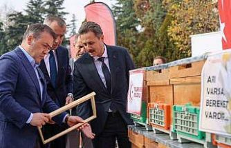 Bilecik’te bu yıl 126 bin 524 kilogram bal üretildi