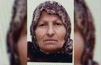 Bilecik’te kaybolan yaşlı kadını jandarma buldu