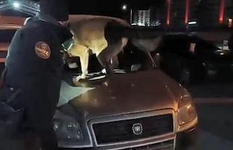 Bitlis’te 6 kilo 100 gram skunk maddesi ele geçirildi