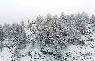 Bolu’nun yükseklerinde kar yağışı etkili oluyor
