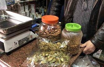 Bu yıl ıhlamur değer kazandı