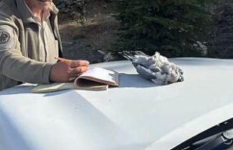 Burdur’da kaçak avcılar ekiplere yakalandı