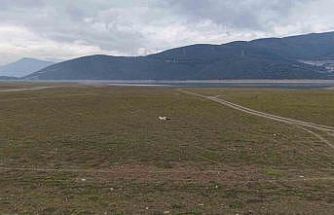 Bursa’da bir göl daha yok oluyor...