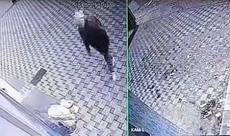 Bursa’da pazar arabası hırsızlığı