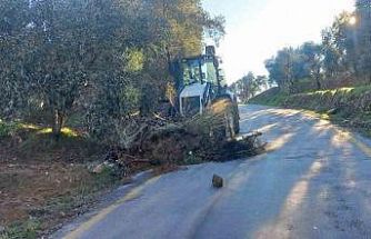 Büyükşehir Aydın’da altyapı çalışmalarına devam ediyor
