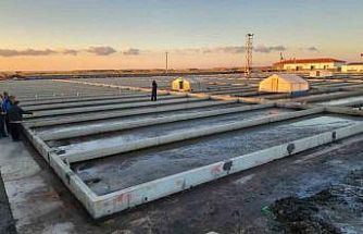 Çanakkale’deki deniz solucanları yetiştiriciliği tesisi sektörde tek