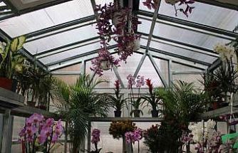 "Çiçek Doktoru" Ersan: "İnsanlar bitkileriyle ilgili yaşamış oldukları sorunları bana iletiyor, ben de onlara çözümler üretiyorum"