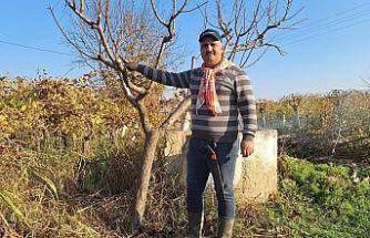 Çiftçinin mesaisi kışın da sürüyor