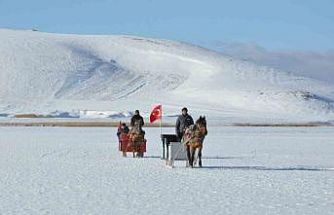 Çıldır Gölü’nde kış masalı: Atlı kızaklar buz üstünde halaylarla sezonu açtı