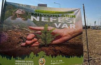 Cizre’de havalimanı yolu 450 fidan ile yeşilleniyor