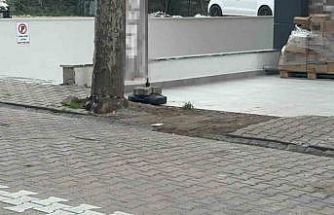 Çöpe atmak için yerden aldığı kargo poşetinin içinden 60 bin dolar çıktı