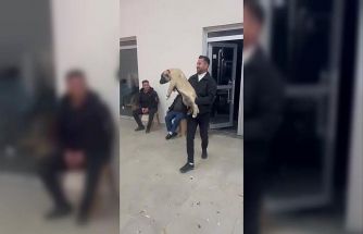 Damadın arkadaşı düğün hediyesi olarak 100 bin liralık köpek hediye etti