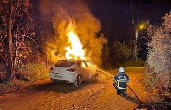 Defne’de otomobil alevlere teslim oldu