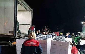 Demirköy’de hamsi denetimi