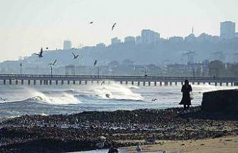 Dev dalgaların ardından Samsun sahilinde taşlı manzara