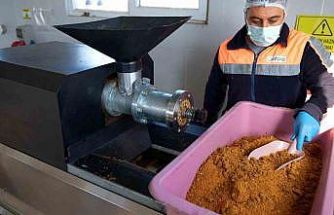 Didim’de her geri dönüşüm, can dostlara umut olacak