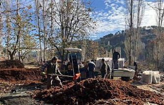 Dikenlerinden kurtulan kestanelerin sofralara yolculuğu başladı