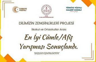 Dilimizin Zenginlikleri Projesi’nde en iyi cümle ve afişler belli oldu
