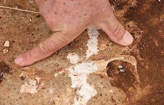 Diyarbakır’da yüz milyonlarca yıl önceye ait fosiller bulundu