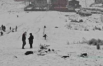 Dünyaca ünlü turizm merkezi Ayder Yaylası beyaza büründü