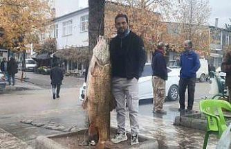Elazığ’da 60 kiloluk turna balığı yakalandı