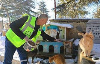 Elazığ’da doğaya yem bırakıldı
