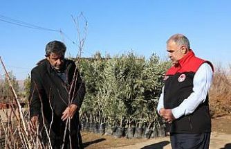 Elazığ’da fidancılık işletmelerine denetim