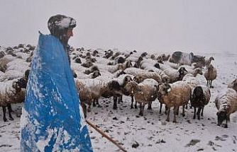Erzincan yaylalarından köylere uzanan zorlu kış mesaisi