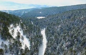 Erzincan’ın doğa harikası Dumanlı beyaza büründü
