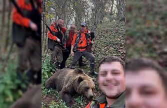 Evlere ve vatandaşlara zarar veren ayı için başlatılan av sonuç verdi, ilk ayı vuruldu