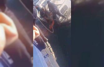 Feribottan atlayan kişiyi Gestaş personelleri ve balıkçılar kurtardı