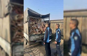 Gaziantep’te kamyonet kasasında kilolarca bozuk et ele geçirildi