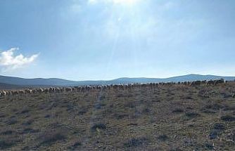 Geçici maden arama izni verilen meralarda kontroller yapıldı