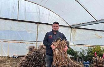 Genç kardeşlerden Sarıgöl ekonomisine 700 bin fidan hamlesi