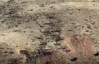 Gercüşlü çiftçilerin domuz tedirginliği