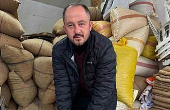 Giresun’da fındık fiyatı yılbaşına günler kala yükselişe geçti