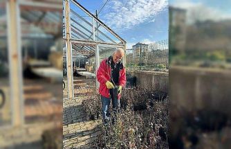 Giresun’dan mavi yemiş atağı