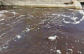 Göksu siyah akmaya başladı, akıllara 3 yıl önceki hadise geldi