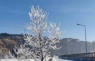 Göle eksi 16 dereceyi gördü, ağaçlar kırağı tuttu