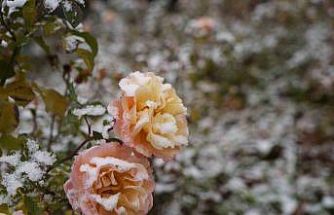 Gümüşhane kent merkezine mevsimin ilk karı yağdı