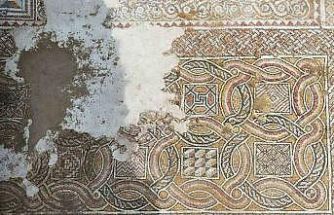 Hadrianopolis’te saray kompleksi ortaya çıktı: 4. yüzyıla ait eşsiz mozaikler bulundu