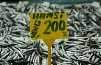 Hamside bolluk azaldı, fiyatı 200 TL’ye çıktı