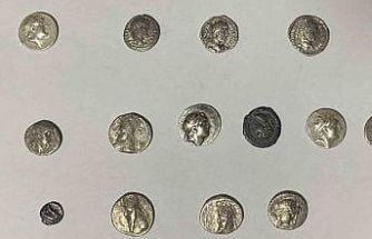 Hatay’da 26 sikke kargo ile göndermek üzereyken ele geçirildi