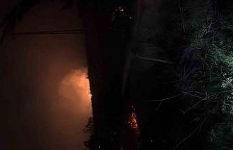 Hatay’da çıkan  otluk yangını söndürüldü